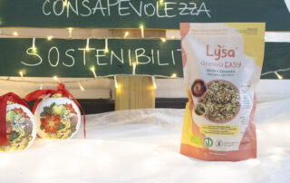 Granola Easy Bio - benefici mela e zenzero