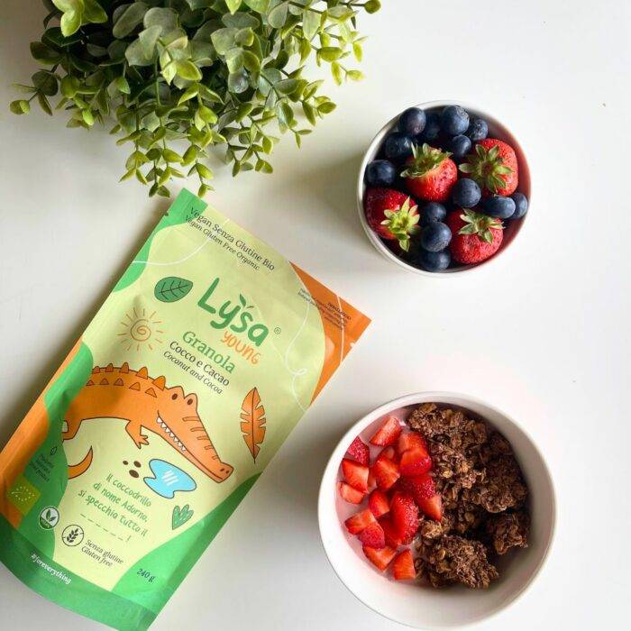 Lysa Young Granola Cocco e Cacao senza zuccheri e senza glutine - immagine 3